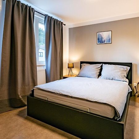 Bergresort Apartments Decin Eksteriør billede